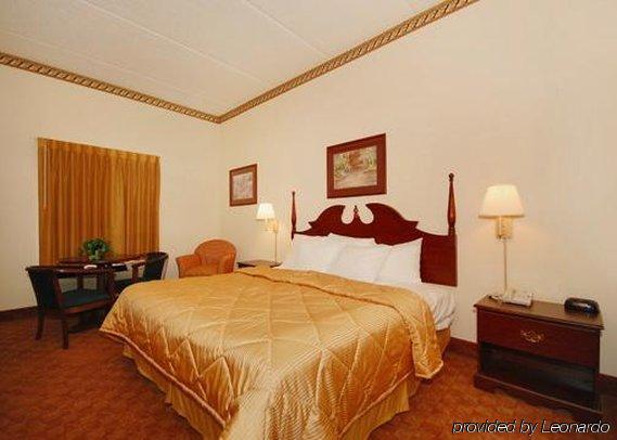 Comfort Inn & Suites At I-85 Spartanburg Værelse billede